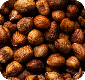 Pile of shea nuts